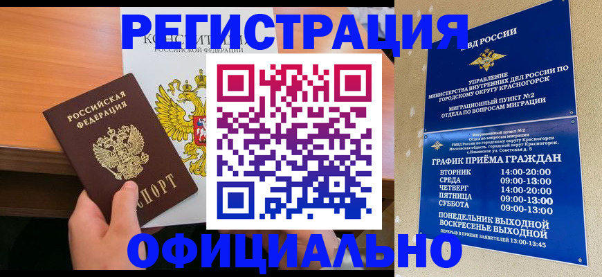 временная регистрация для всех в Зиме